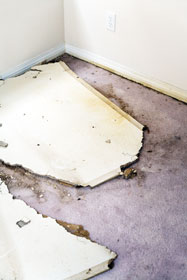 water damage restoration raleigh NC