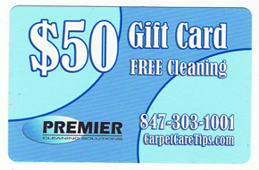 slow-season-cleaning-gift-cards