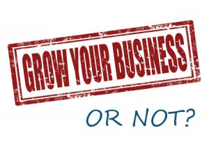 grow-your-business-or-not